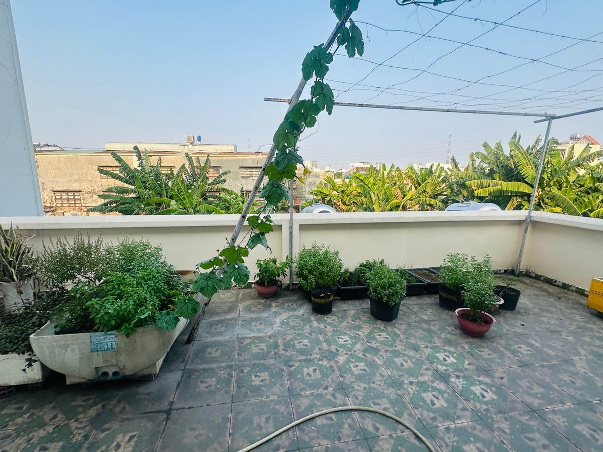 Biệt thự vườn — .nguyên ảnh thủ .hóc môn