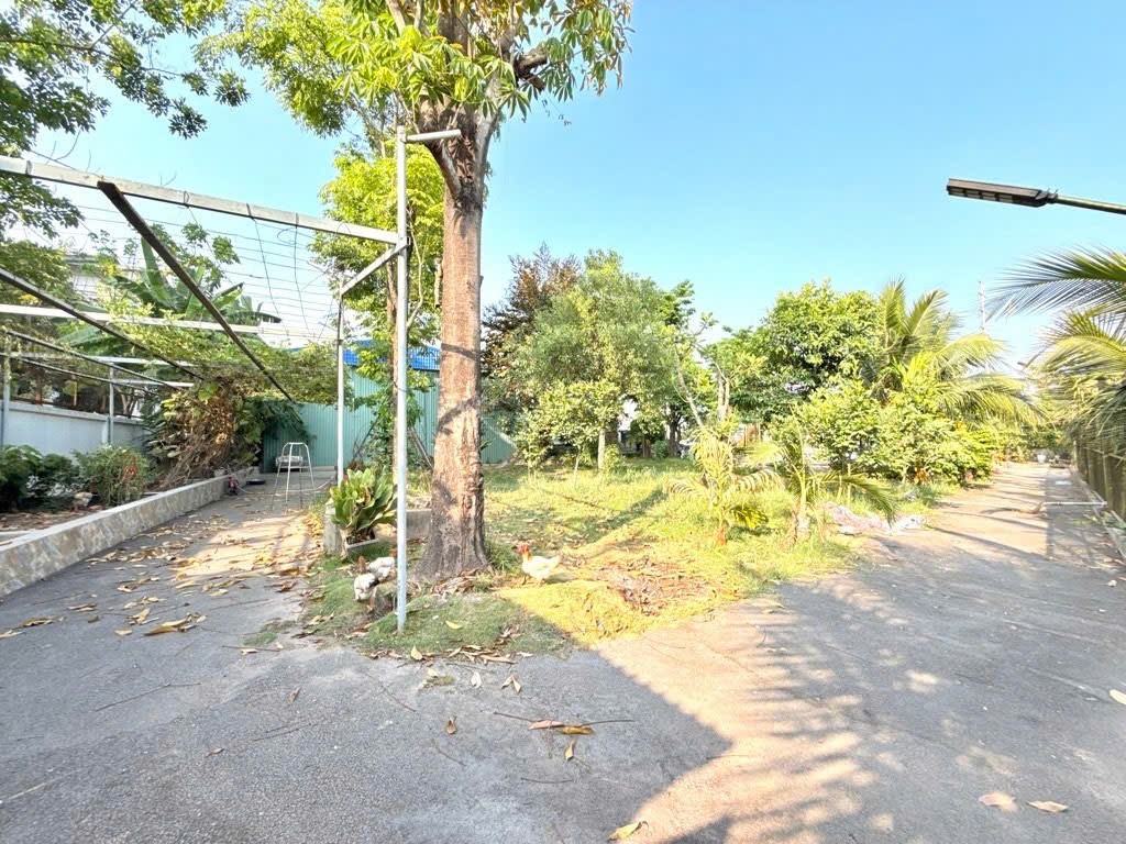 Biệt thự kế vinhome